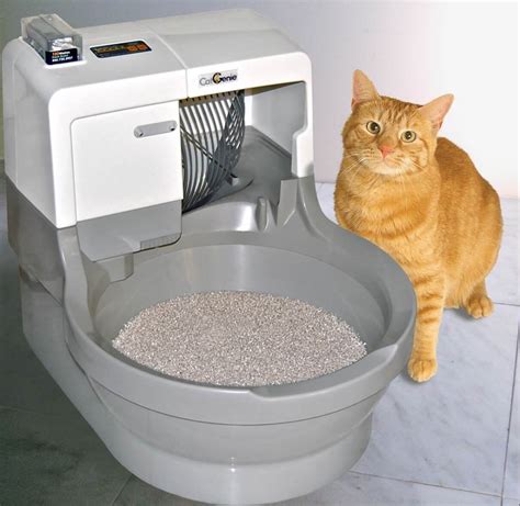 best electric litter box for multiple cats|best automatic kitty litter box.